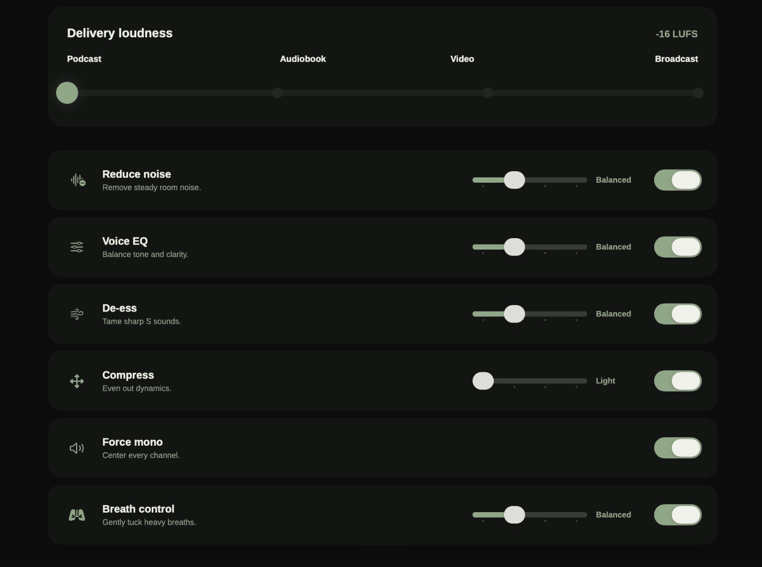 Poet Audio voice polishing controls for loudness, noise, EQ, de-essing, compression, mono, and breath control